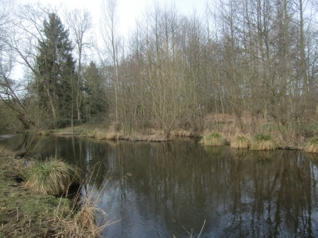 Brüggen : Wanderweg an der Schwalm entlang